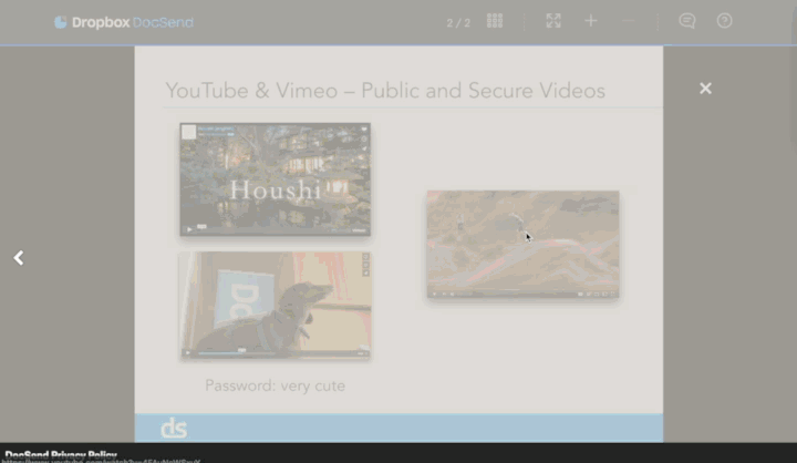InDocVideoVisitorExp.gif